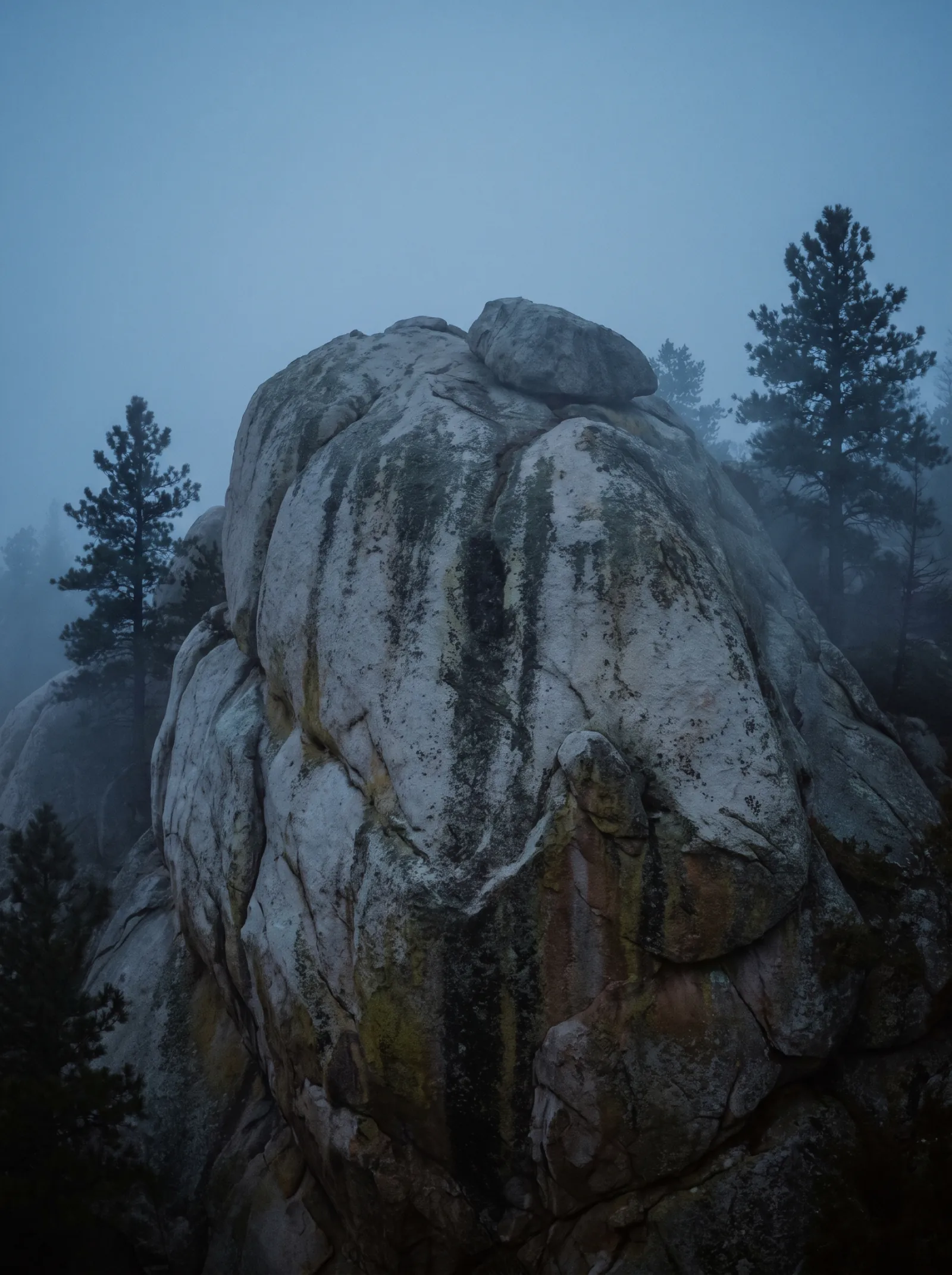 A weathered granite outcrop in the foothills, pale lichen-streaked stone and a few dark pines under a cold overcast sky.